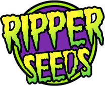 Ripper Seeds | Cannapedia